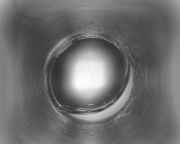 X0000064760197200602241928