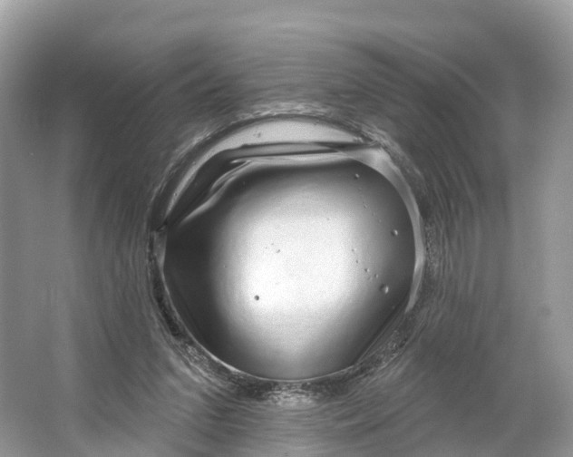 X0000064760207200602241928
