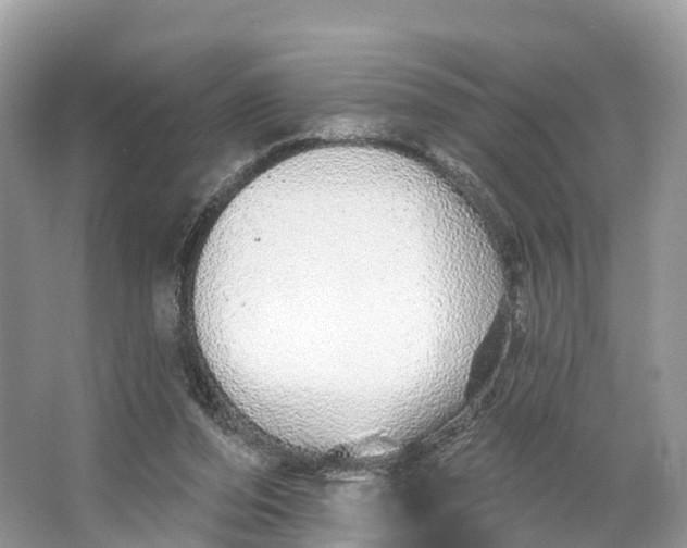 X0000064760208200602241928