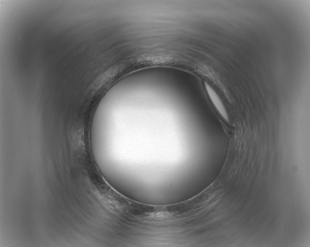 X0000064760212200602241927