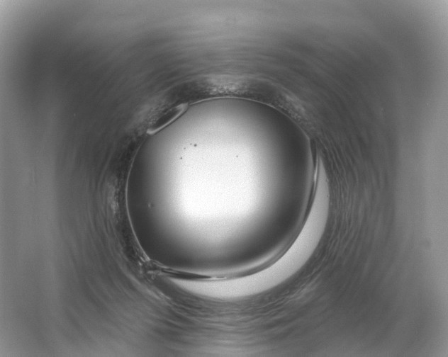 X0000064760215200602241927