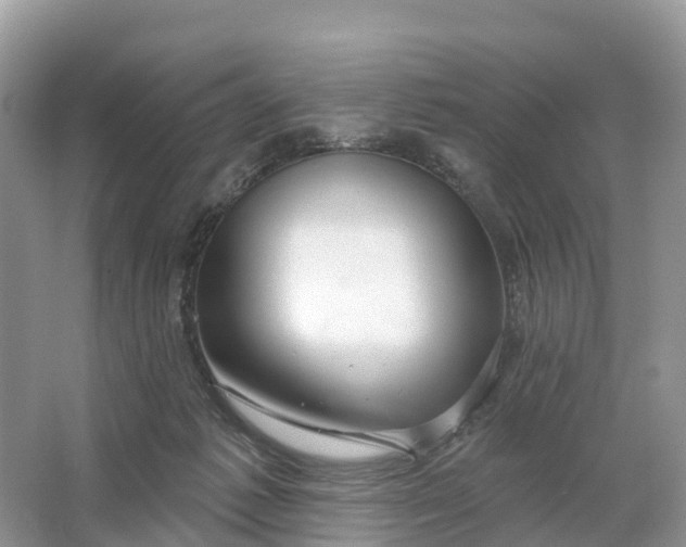 X0000064760221200602241927