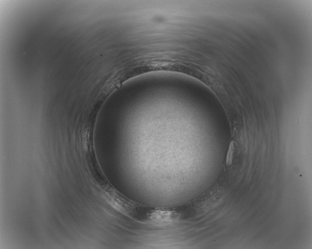 X0000064760227200602241927
