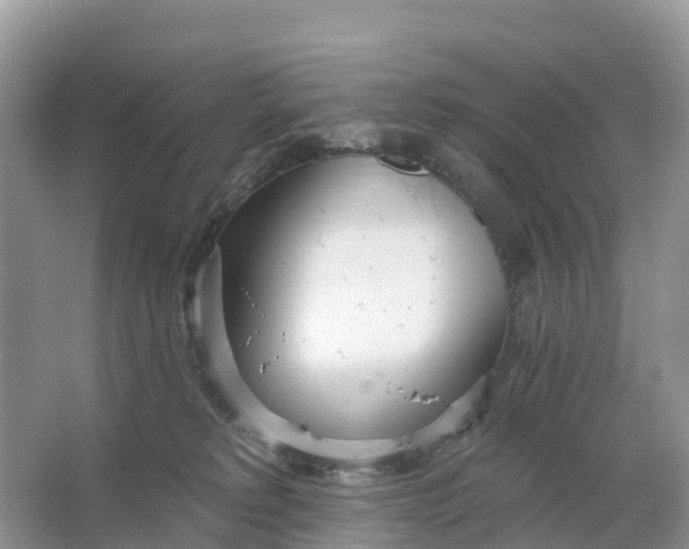 X0000064760229200602241927