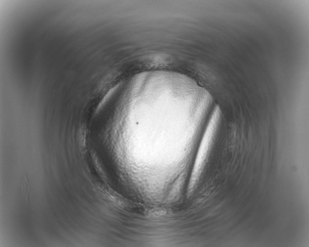 X0000064760230200602241927