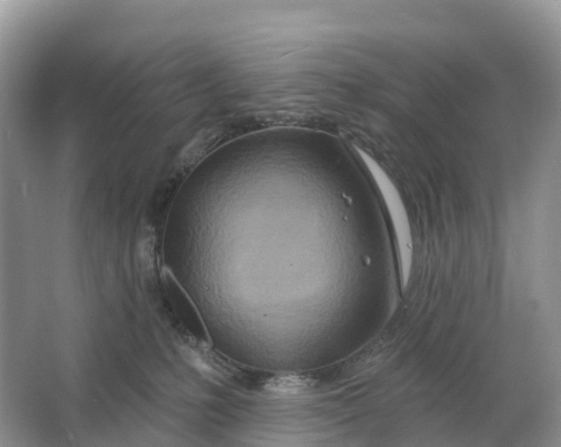 X0000064760231200602241927