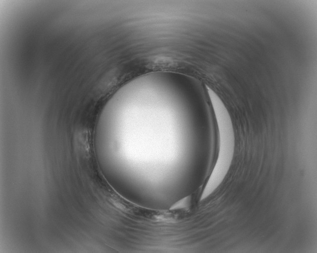 X0000064760232200602241927