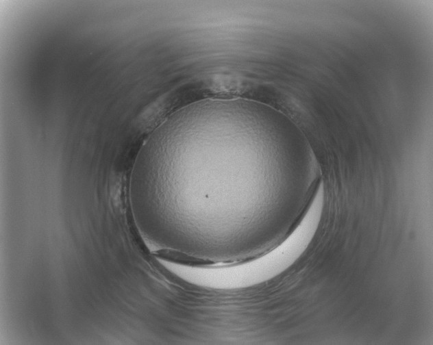X0000064760233200602241927