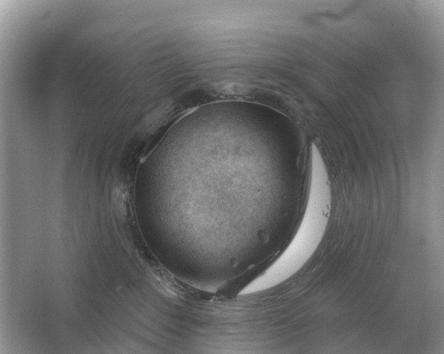 X0000064760235200602241927