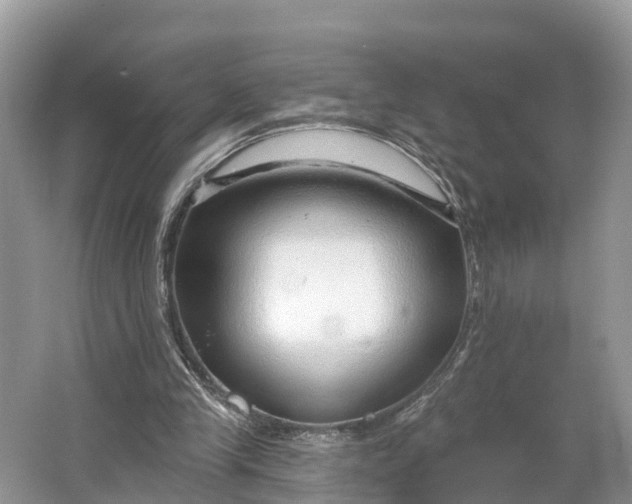 X0000064760245200602241926