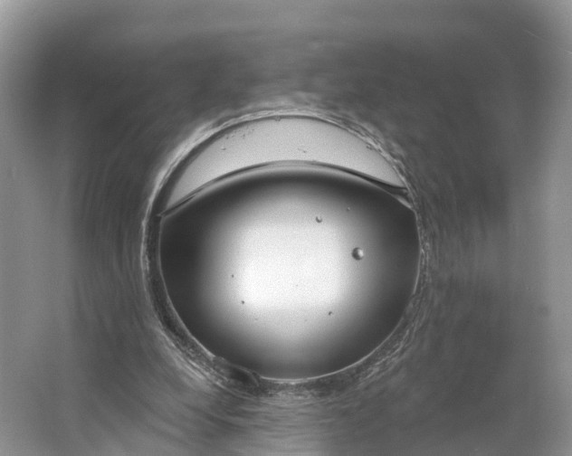 X0000064760248200602241926