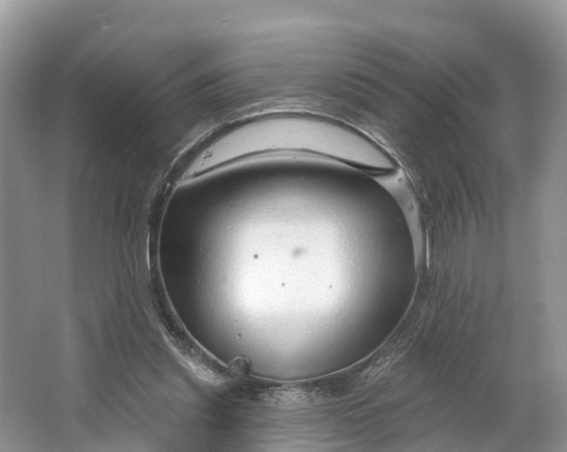 X0000064760253200602241926