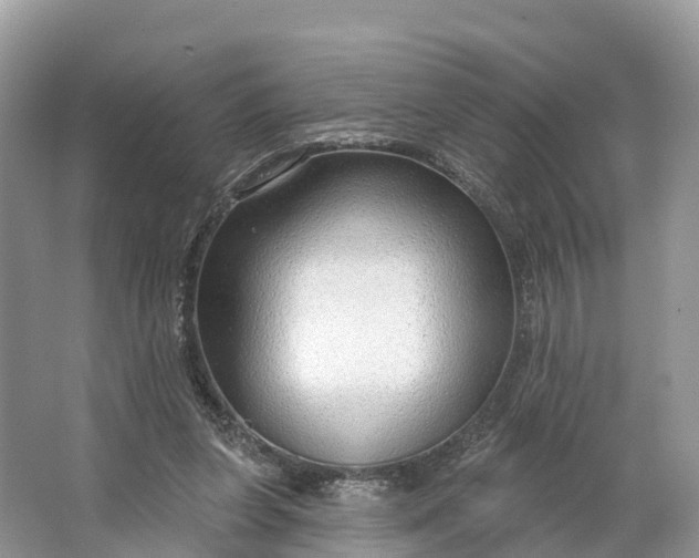 X0000064760255200602241926
