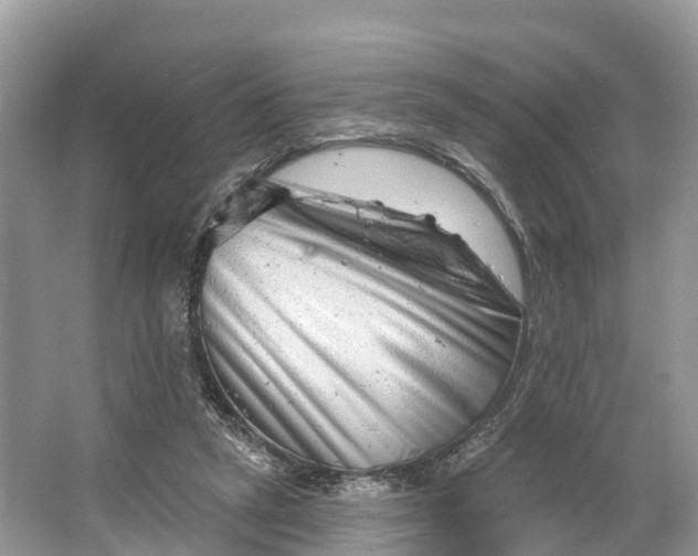 X0000064760257200602241926