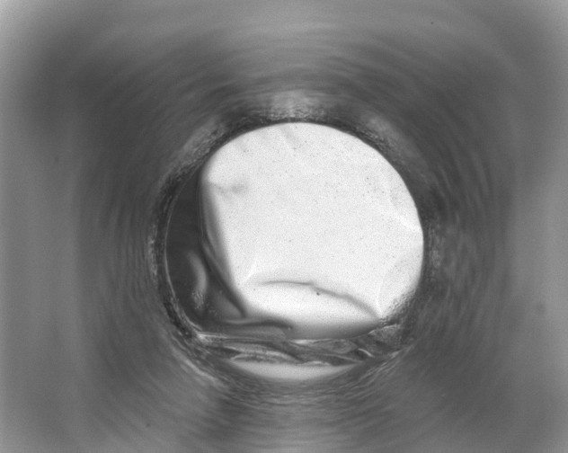 X0000064760258200602241926