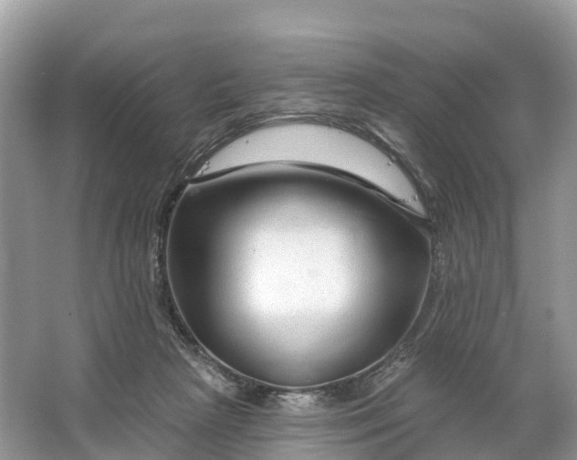 X0000064760265200602241926
