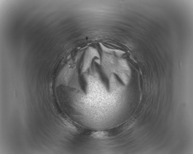 X0000064760269200602241926