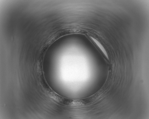 X0000064760270200602241926