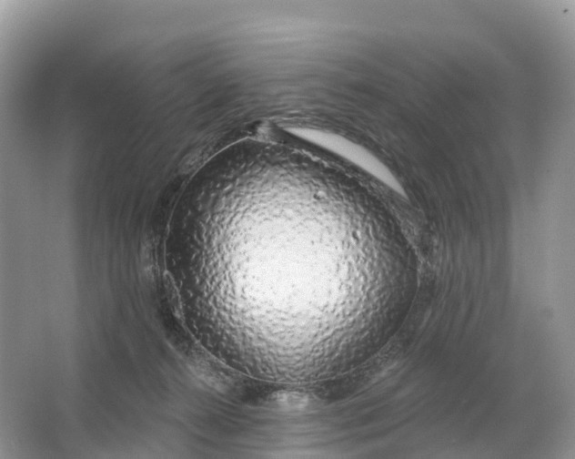 X0000064760272200602241926