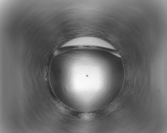 X0000064760273200602241926