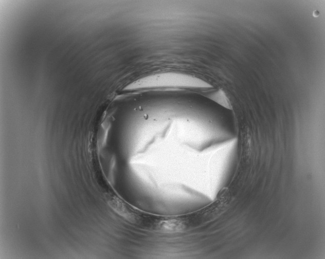X0000064760275200602241926