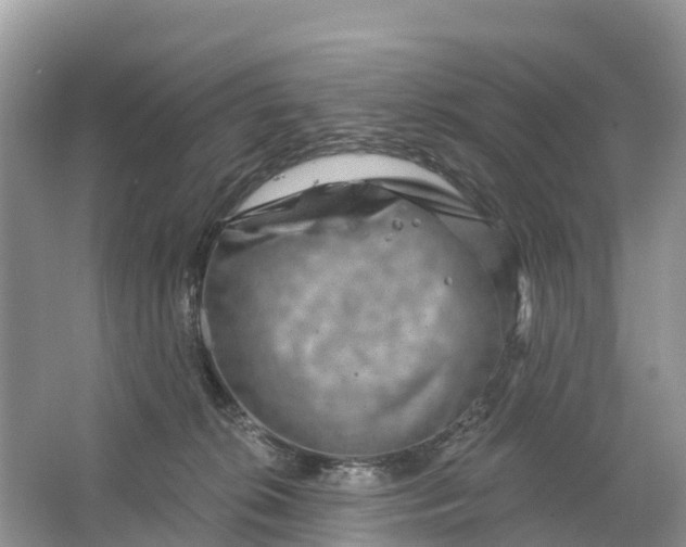 X0000064760276200602241926