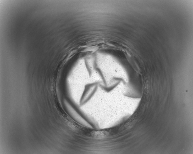 X0000064760277200602241926