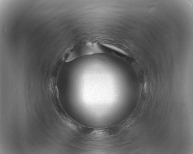 X0000064760280200602241927