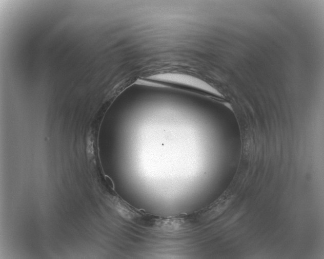 X0000064760282200602241927