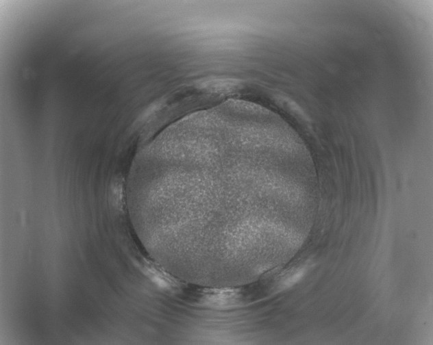 X0000064760288200602241927