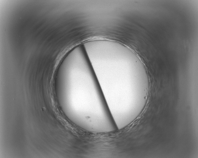 X0000064760289200602241926