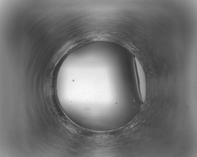 X0000064760291200602241925
