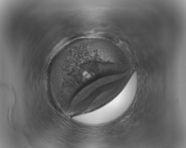 X0000064760295200602241925