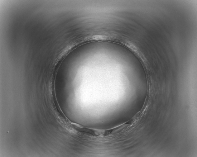 X0000064760297200602241925