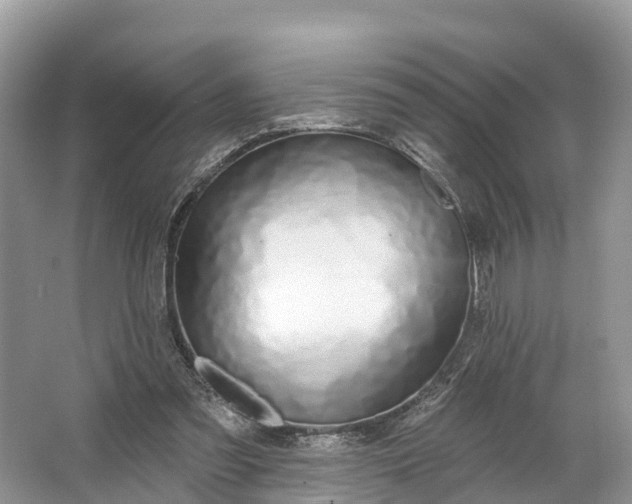 X0000064760301200602241925