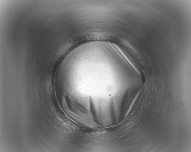 X0000064760306200602241925