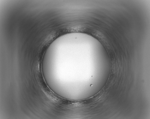 X0000064760310200602241925