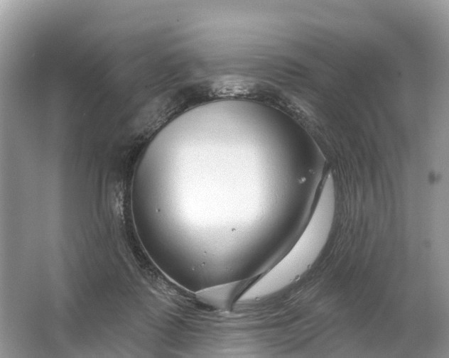 X0000064760315200602241925