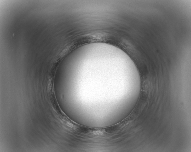 X0000064760318200602241925