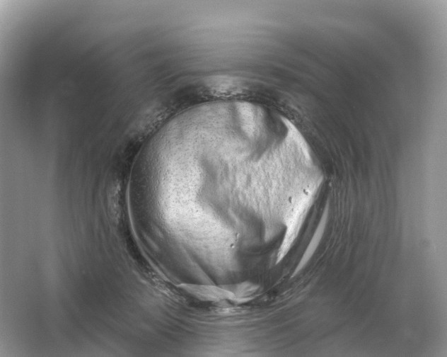 X0000064760319200602241925