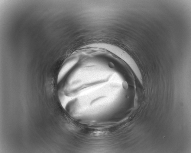 X0000064760323200602241925