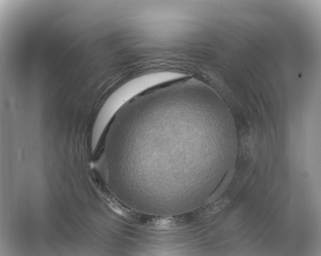 X0000064760325200602241925