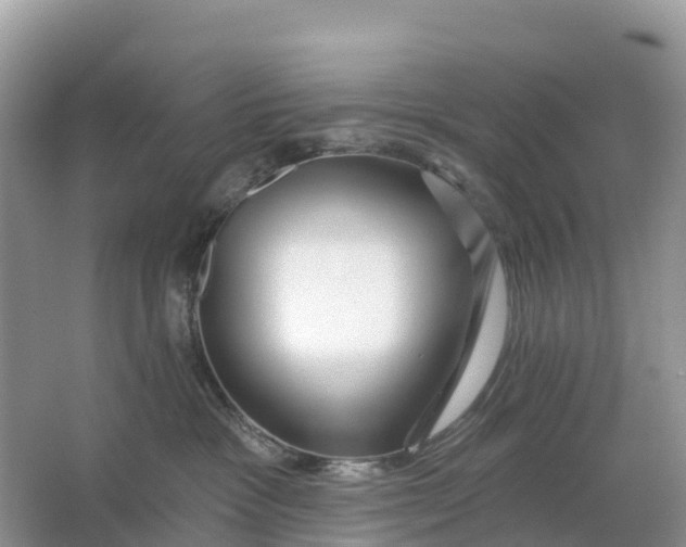 X0000064760333200602241924
