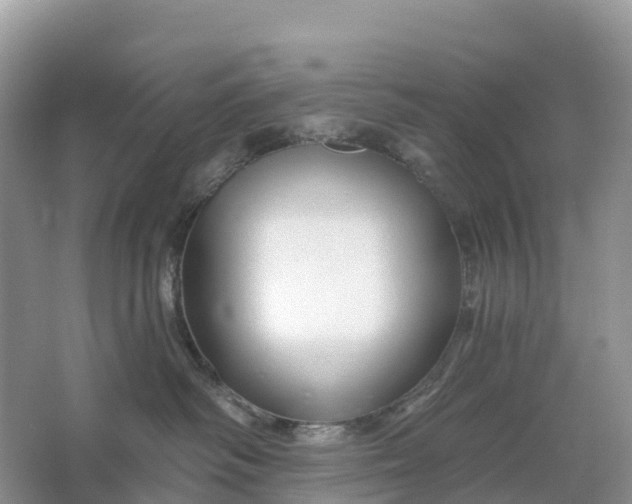 X0000064760334200602241924