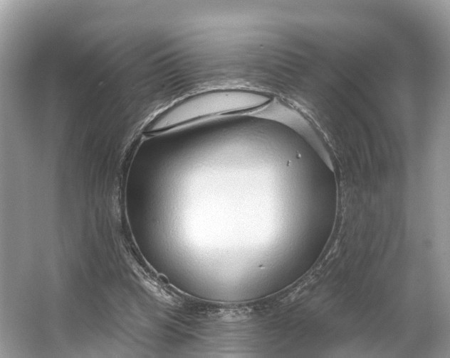 X0000064760345200602241923