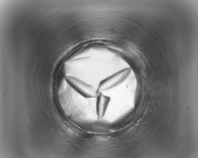 X0000064760346200602241923