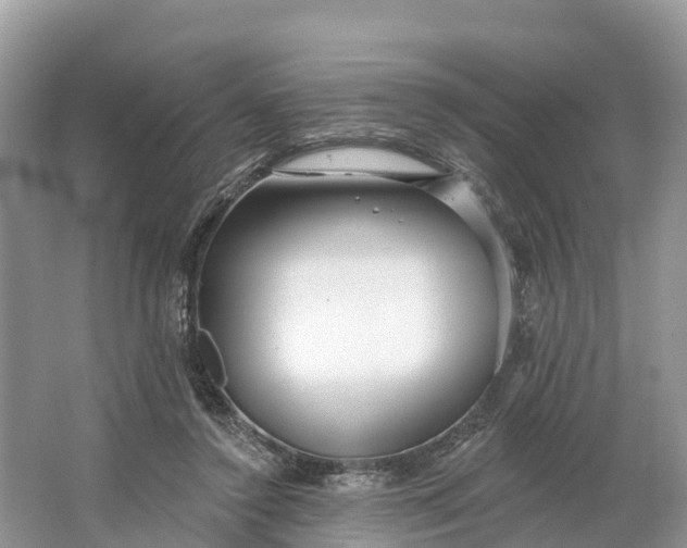 X0000064760356200602241924