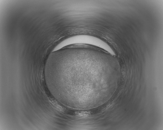X0000064760359200602241924