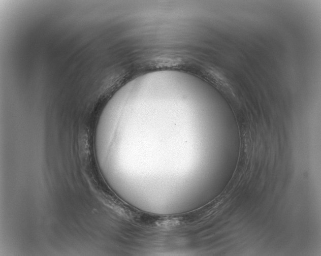 X0000064760362200602241924