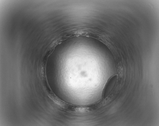 X0000064760375200602241924